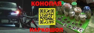 spice Партизанск
