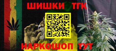 дмт Пенза